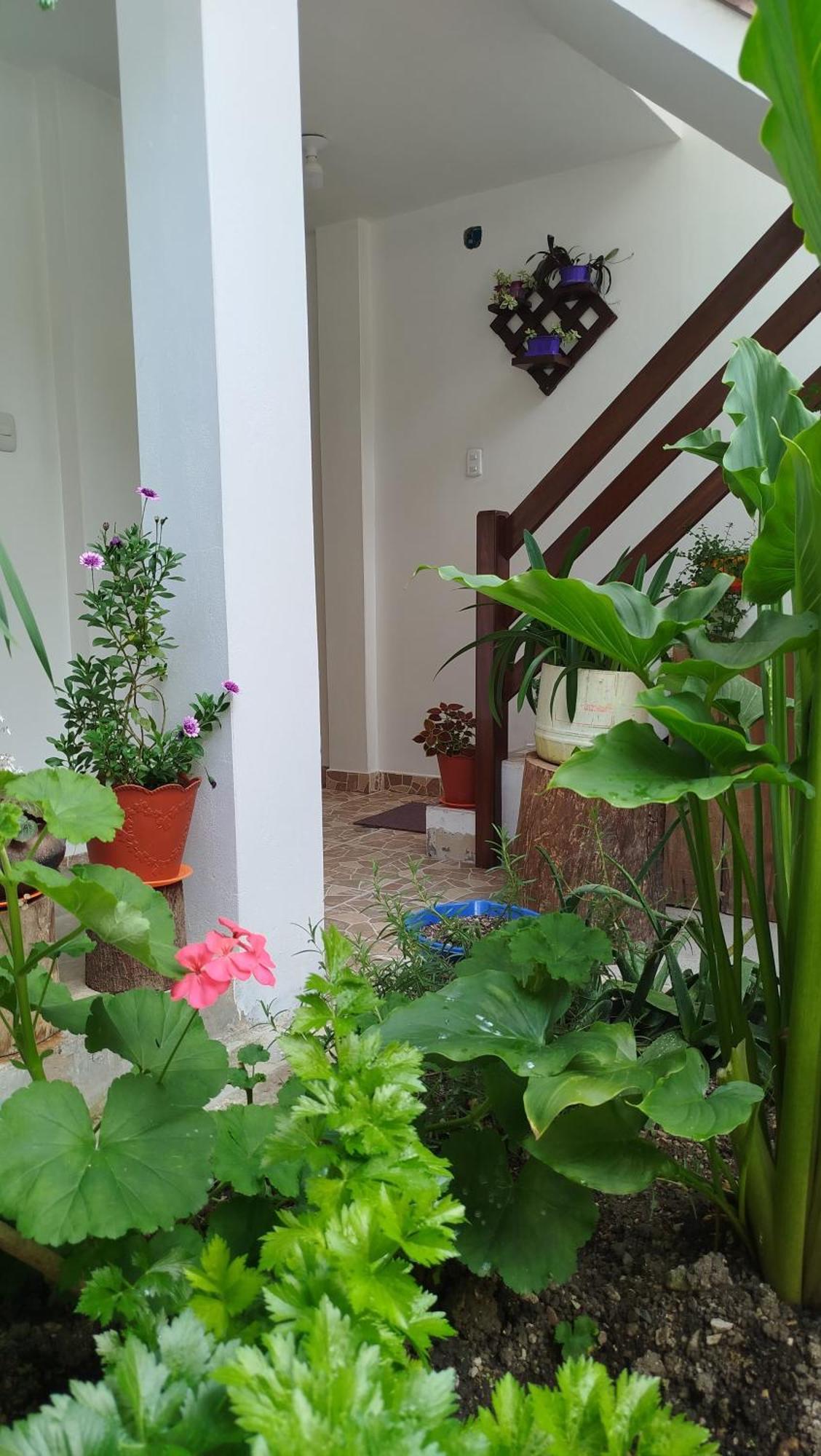 Homestay Yaku Wasi Leimebamba